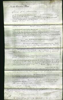 Court of Common Pleas - Mary Donald-Original Ancestry