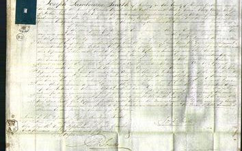 Court of Common Pleas - Mary Ann Lawrence-Original Ancestry