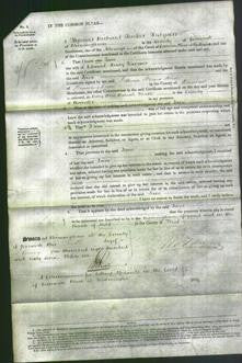 Court of Common Pleas - Jane Hanmer-Original Ancestry