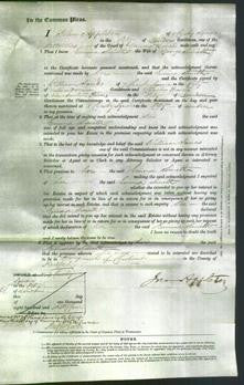 Court of Common Pleas - Emma Smith