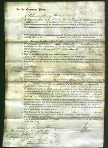 Court of Common Pleas - Mary Ann Houseman-Original Ancestry