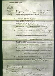 Court of Common Pleas - Rosina Cope-Original Ancestry