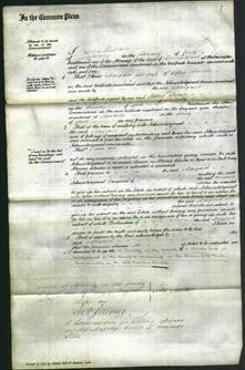 Court of Common Pleas - Margaret Bancks-Original Ancestry
