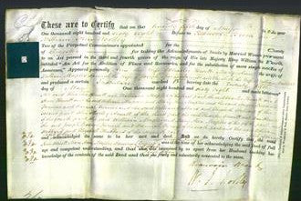 Deed by Married Women - Ann Hewitt, Mary Ann Maples, Hannah Furniss and Elizabeth Hubbard-Original Ancestry