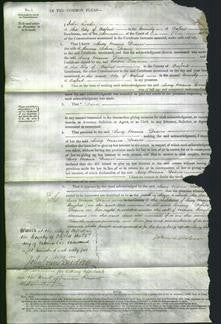 Court of Common Pleas - Lucy Maria Dixon-Original Ancestry