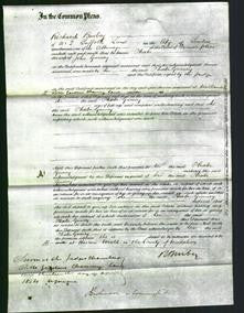 Court of Common Pleas - Phoebe Gurney-Original Ancestry