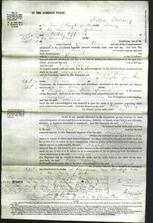 Court of Common Pleas - Margaret Rhodes-Original Ancestry