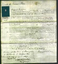 Court of Common Pleas - Elizabeth Perry-Original Ancestry