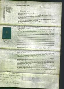 Court of Common Pleas - Elizabeth Morrison-Original Ancestry