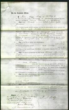 Court of Common Pleas - Louisa Gardner-Original Ancestry