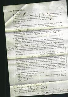 Court of Common Pleas - Elizabeth Brown-Original Ancestry