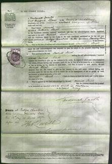 Court of Common Pleas - Harriet Sturt-Original Ancestry