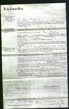 Court of Common Pleas - Ann Morrison-Original Ancestry