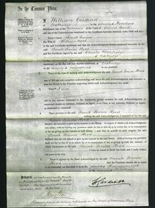 Court of Common Pleas - Sarah Louisa Hood-Original Ancestry