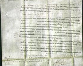 Court of Common Pleas - Abigail Ingham-Original Ancestry