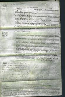 Court of Common Pleas - Emma Rider-Original Ancestry