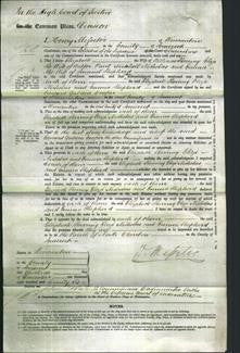 Court of Common Pleas - Elizabeth Sherring, Eliza Nicholas and Emma Shepherd-Original Ancestry