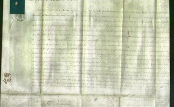 Court of Common Pleas - Mary Moyser