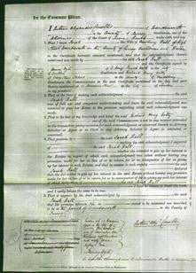 Court of Common Pleas - Sarah Ball-Original Ancestry