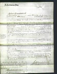 Court of Common Pleas - Ann Starkey-Original Ancestry