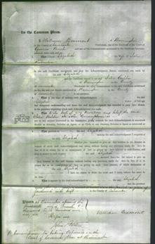 Court of Common Pleas - Elizabeth Richardson-Original Ancestry