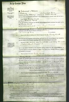 Court of Common Pleas - Emily Buck-Original Ancestry