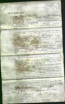 Court of Common Pleas - Henrietta Sims-Original Ancestry