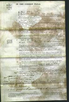 Court of Common Pleas - Susan Sarah Goldthorpe-Original Ancestry