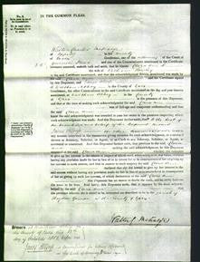 Court of Common Pleas - Clara Ann Rowley-Original Ancestry