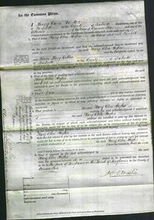 Court of Common Pleas - Mary Abra Hughes Nienholt-Original Ancestry