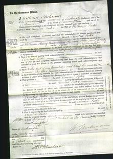 Court of Common Pleas - Amelia Foster-Original Ancestry