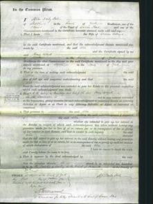 Court of Common Pleas - Alice Ackroyd-Original Ancestry