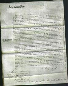 Court of Common Pleas - Eliza Bastard-Original Ancestry