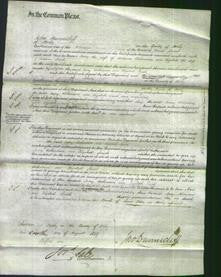 Court of Common Pleas - Mary Richardson and Elizabeth Smith-Original Ancestry