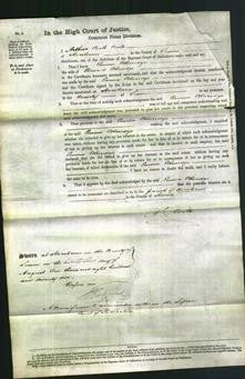 Court of Common Pleas - Emma Etheridge-Original Ancestry