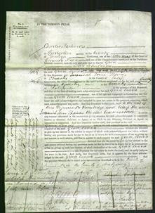 Court of Common Pleas - Grace Evans-Original Ancestry