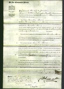 Court of Common Pleas - Amelia Moore-Original Ancestry