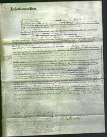 Court of Common Pleas - Ann Vine-Original Ancestry