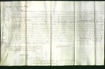 Court of Common Pleas - Ellen Ahrill-Original Ancestry