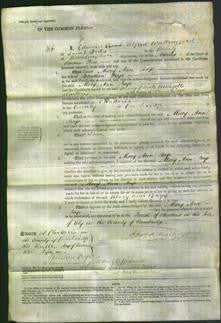 Court of Common Pleas - Mary Ann Bays-Original Ancestry