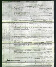 Court of Common Pleas - Fanny Thomas-Original Ancestry