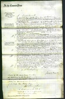 Court of Common Pleas - Ann Shatfold Read, Susanna Shatfold Linnell, Hannah Shatfold Read and Mary Shatfold Chapman-Original Ancestry