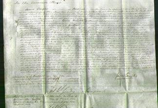 Court of Common Pleas - Catharine Barnicott-Original Ancestry