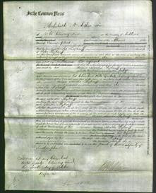 Court of Common Pleas - Martha Leykauff-Original Ancestry