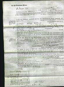 Court of Common Pleas - Charlotte Hunt Hartshorne-Original Ancestry