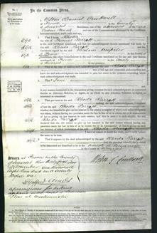 Court of Common Pleas - Rhoda Parrott-Original Ancestry