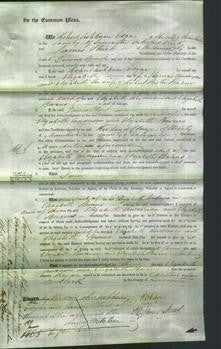 Court of Common Pleas - Elizabeth Anderson