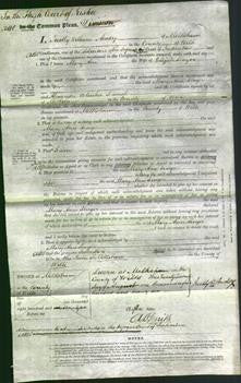 Court of Common Pleas - Mary Ann Singer-Original Ancestry