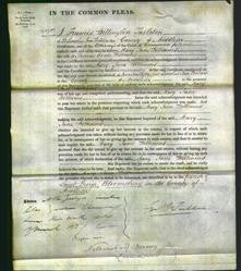 Court of Common Pleas - Mary Jane Williams-Original Ancestry