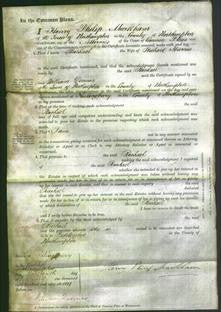 Court of Common Pleas - Rachael Harrie-Original Ancestry